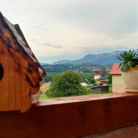 Vikendica-brvnara Pine *